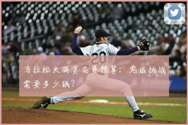 马拉松大满贯花费预算：完成挑战需要多少钱？